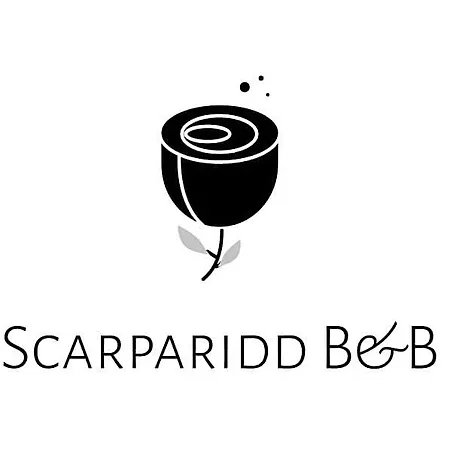 Scarparidd Bari